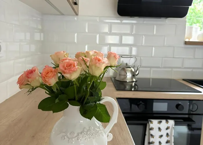Apartmán U Včelína Chlumec nad Cidlinou